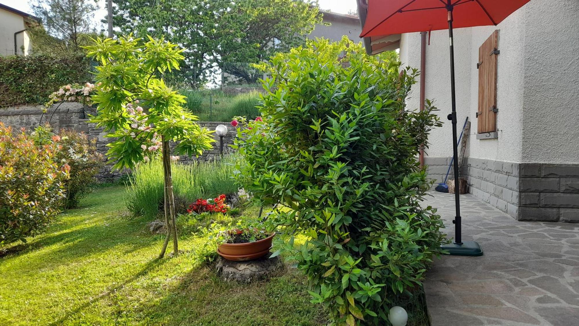Via del Fusato Casa Carla Chiusi della Verna Exterior foto